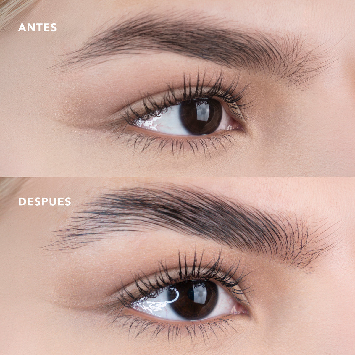 Antes y después de aplicar el gel fijador de cejas Ruby Rose Brow Rise